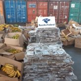 Analistas-Tributários atuam na apreensão de 808,2 kg de cocaína no Porto de Suape